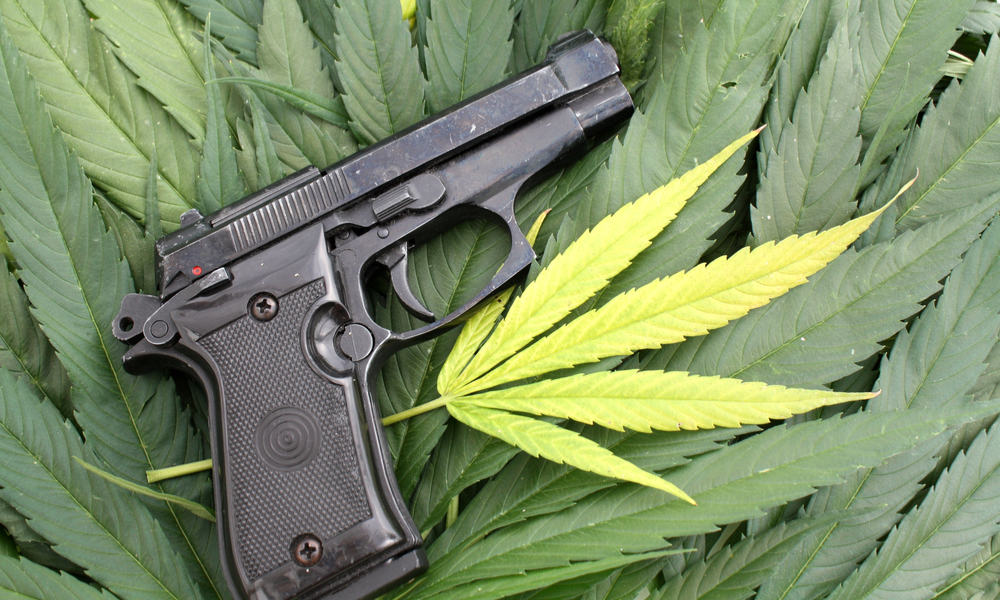 medical marijuana and gun
