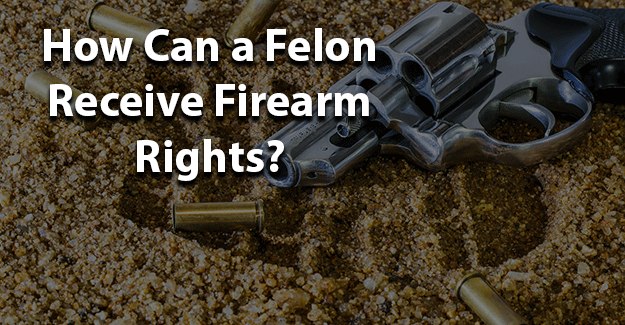 Felon Gun Rights Florida